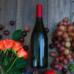 Wino wegańskie czym się różni od tradycyjnego? Odkryj sekrety produkcji