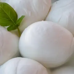 Kulki mozzarelli w wodzie, jedna z listkiem bazylii. Czy ser mozzarella jest tłusty? Zależy od rodzaju, ale ten wygląda apetycznie.