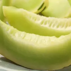 Soczyste kawałki zielonego melona na talerzu. Czy melon jest lekkostrawny? Tak, to świetny wybór na zdrową przekąskę.