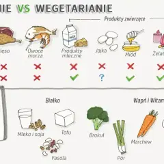 Czego brakuje w diecie wegańskiej? Kluczowe niedobory, które musisz znać