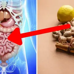 Przepisy na zdrowe jelita, które poprawią twoje trawienie i samopoczucie