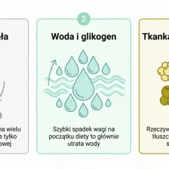 Trzy etapy utraty wagi: masa ciała, woda i glikogen, tkanka tłuszczowa. Realna utrata tkanki tłuszczowej to proces stopniowy, a nie szybki spadek wagi.