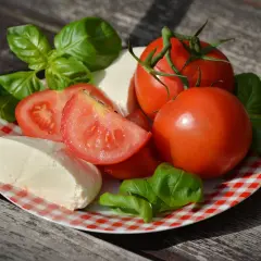 Pomidory, mozzarella i bazylia na talerzu. Czy mozzarella jest dobra na odchudzanie? To składniki lekkiej sałatki.