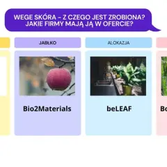 Skóra wegańska – co to jest i dlaczego warto ją znać?