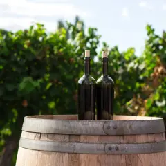 Wino wegańskie - co to znaczy i jak różni się od tradycyjnego?