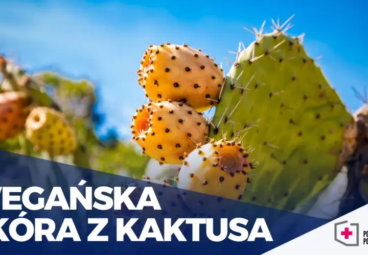 Wegańska skóra z czego powstaje? Odkryj zaskakujące materiały