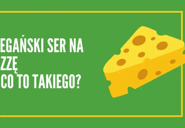 Ser wegański z czego jest zrobiony? Poznaj składniki i ich zalety