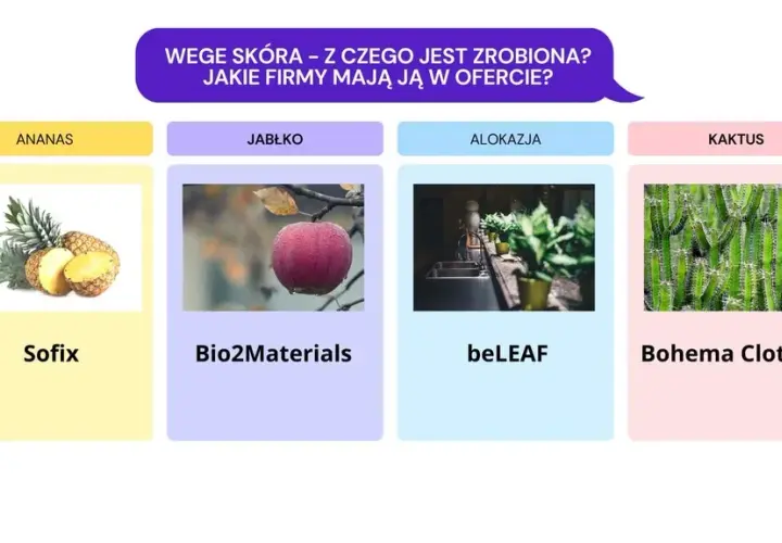 Skóra wegańska – co to jest i dlaczego warto ją znać?