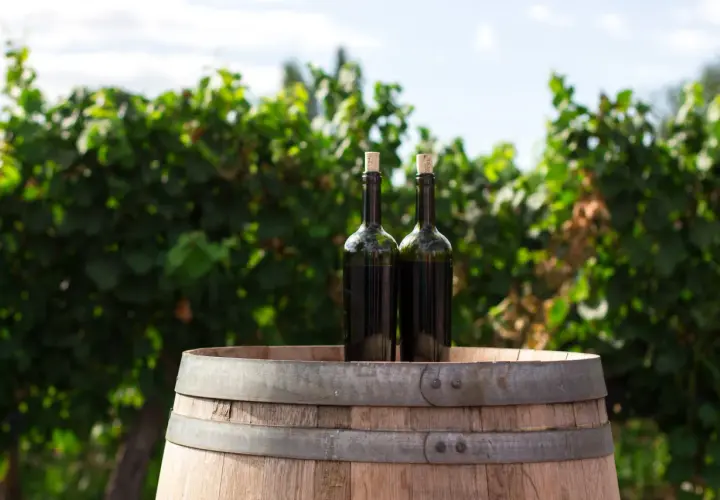 Wino wegańskie - co to znaczy i jak różni się od tradycyjnego?