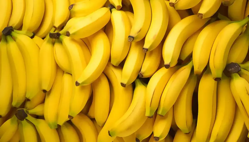 Mnóstwo dojrzałych, żółtych bananów. Zastanawiasz się, ile cukru ma banan? To naturalnie słodki owoc, idealny na przekąskę.