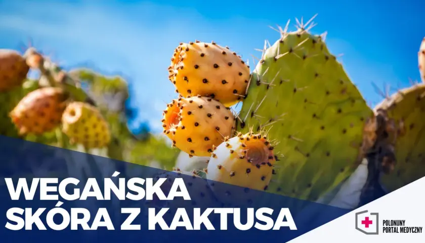 Wegańska skóra z czego powstaje? Odkryj zaskakujące materiały