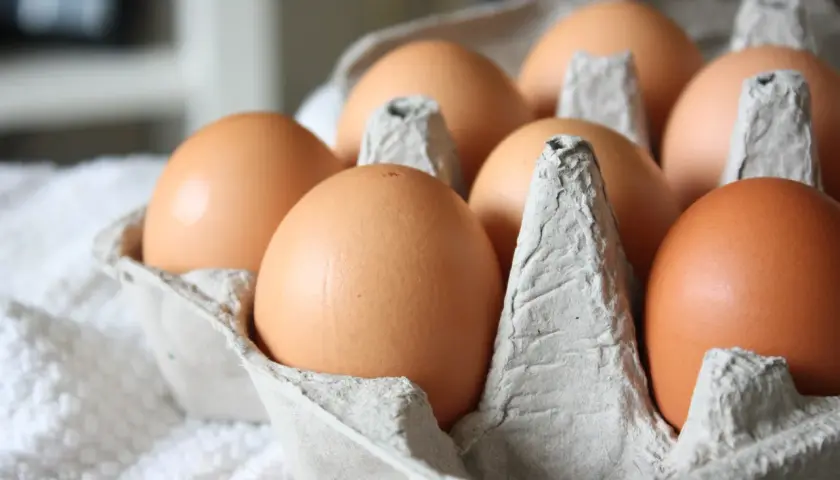 Brązowe jajka w wytłoczce. Zastanawiasz się, ile kcal ma gotowane jajko? To zdrowa przekąska!