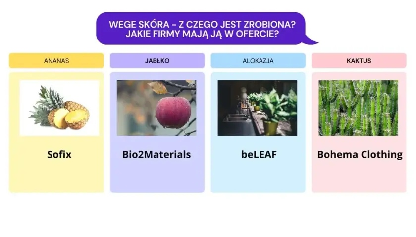 Skóra wegańska – co to jest i dlaczego warto ją znać?
