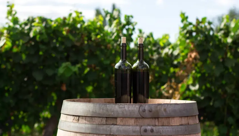 Wino wegańskie - co to znaczy i jak różni się od tradycyjnego?
