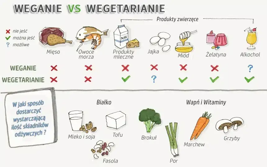Czego brakuje w diecie wegańskiej? Kluczowe niedobory, które musisz znać