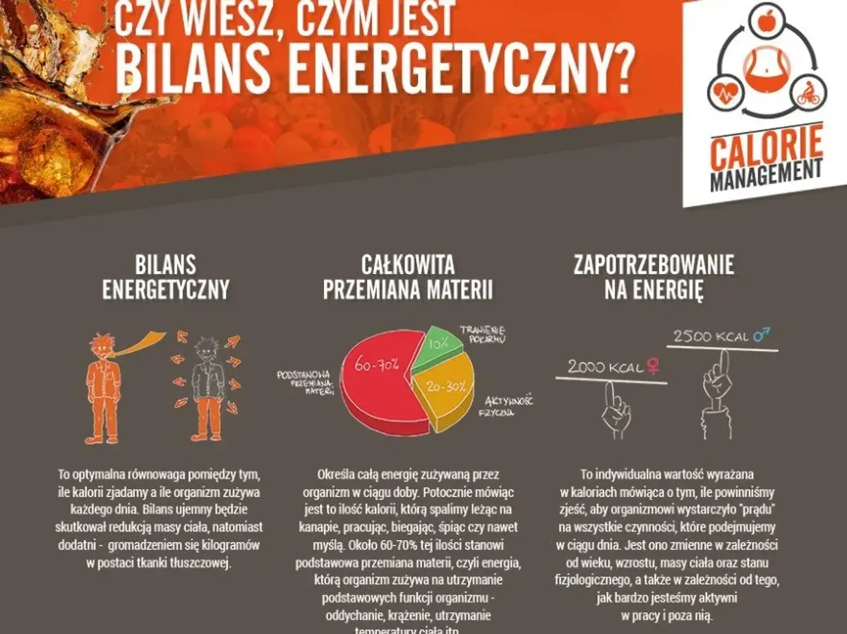 Infografika o bilansie energetycznym. Wyjaśnia, co to kcal, całkowitą przemianę materii i zapotrzebowanie na energię.