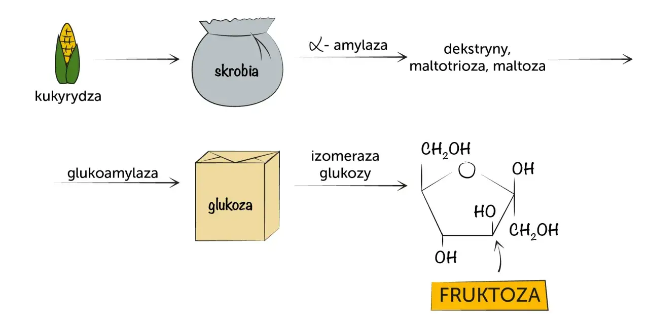 Schemat przedstawia proces produkcji syropu glukozowego z kukurydzy przez skrobię, dekstryny, maltozę, glukozę, aż do fruktozy.