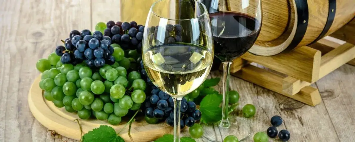 Zdjęcie Czy wino jest wegańskie? Odkryj, co naprawdę zawiera Twoje wino