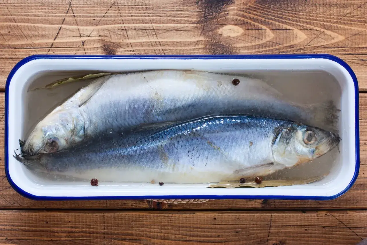 Dwa śledzie w zalewie z przyprawami. Czy śledzie solone są zdrowe? Tak, to źródło kwasów omega-3.