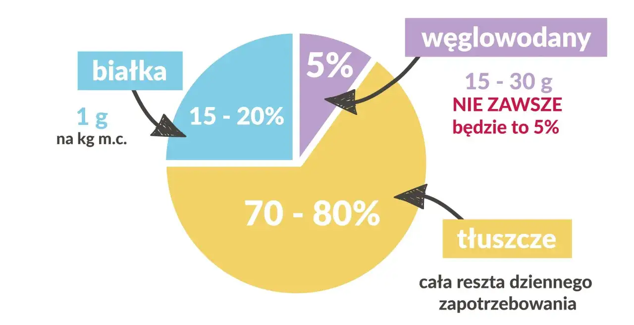 Wykres kołowy pokazuje proporcje makroskładników na keto: białka (15-20%), węglowodany (5%) i tłuszcze (70-80%). Czy na keto trzeba liczyć kalorie? Ten wykres sugeruje, że kluczowe są proporcje, a niekoniecznie ścisłe liczenie kalorii.