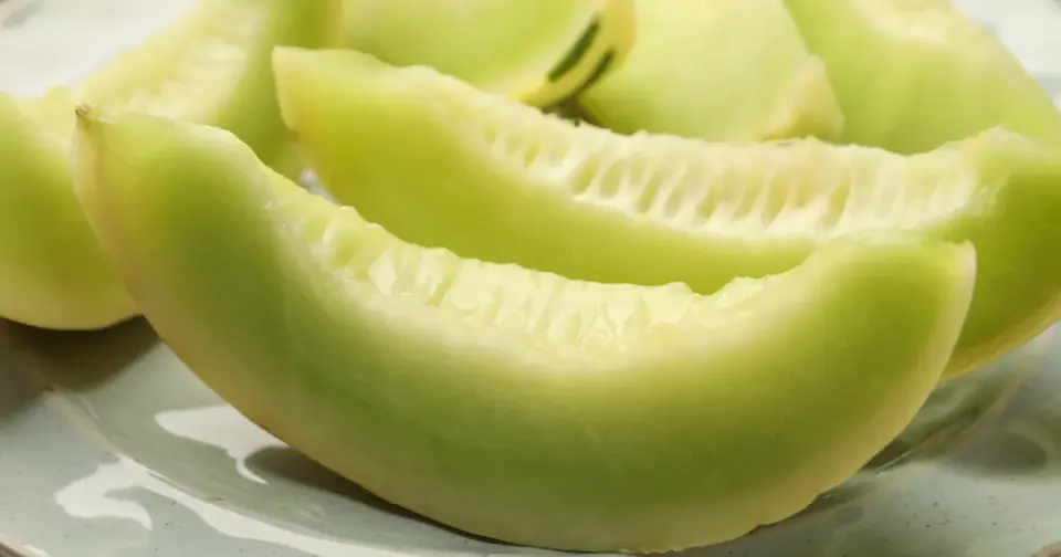 Czy melon jest lekkostrawny? Sprawdź fakty i porady